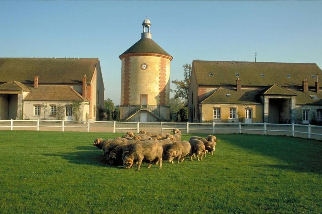 Gite De L'Alisier - Rambouillet - Exterior foto